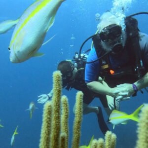 Scuba Diving in Punta Cana – Underwater Adventure Experience