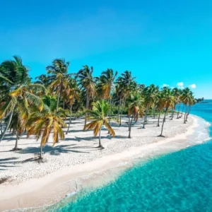 Perfect Day at Saona Island From Punta Cana by Speedboat | Completely Private Transfer