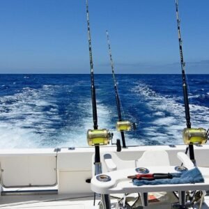Deep Sea Fishing in Punta Cana – Big Game Fishing Experience