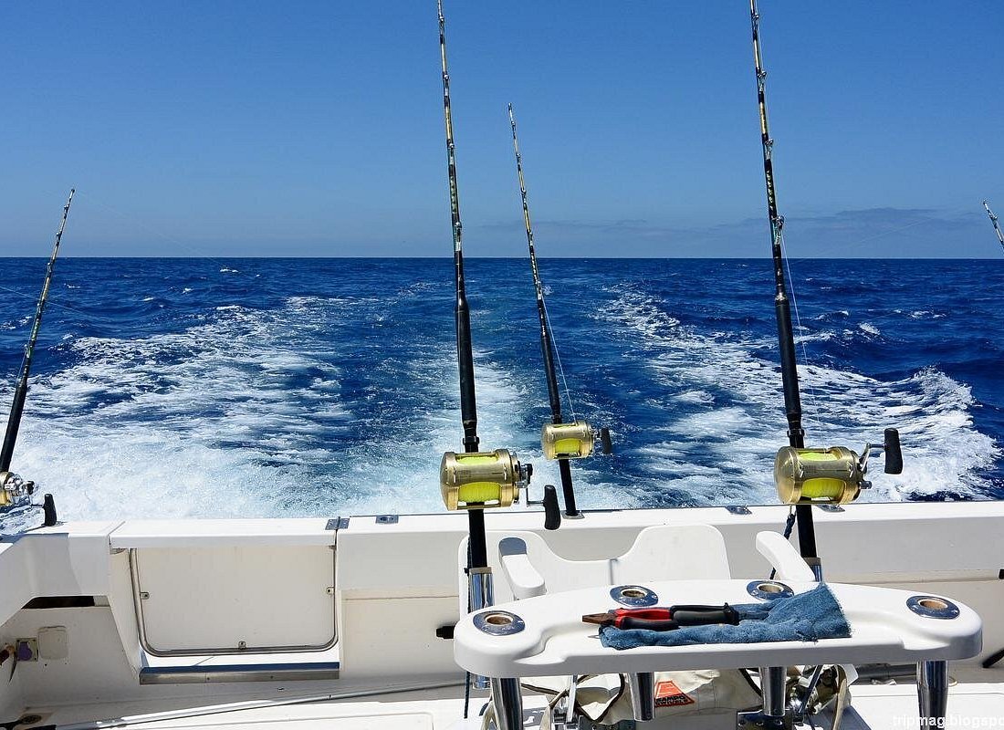 Deep Sea Fishing in Punta Cana – Big Game Fishing Experience