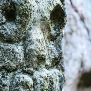 Los Haitises National Park Tour – Caves, Mangroves & Nature